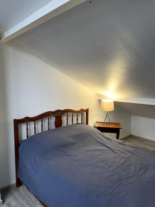 La Perle Bleue 45m² 4 Personnes * Orchies